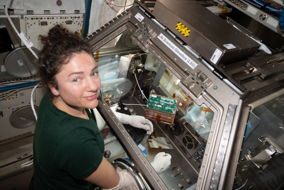 NASA astronaut Jessica Meir sets up the Engineered Heart Tissues (EHT) investigation.