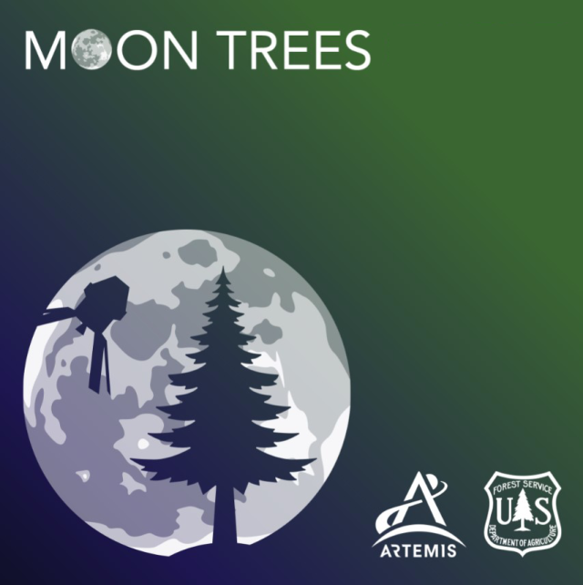 
			Branch Out with Artemis Moon Trees! Apply for an Artemis Moon Tree Seedling - NASA			