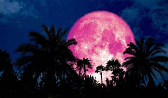 Full Pink Moon