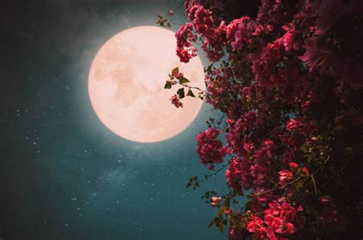 Super Flower Moon