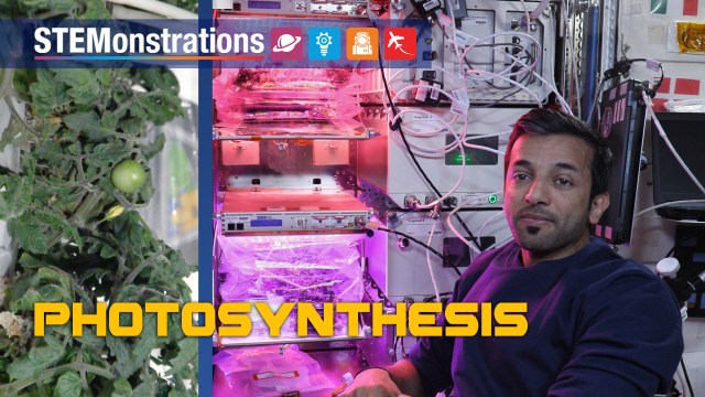 
			STEMonstrations: Photosynthesis - NASA			
