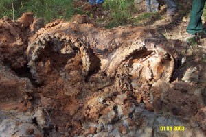 Columbia main engine powerhead found in Louisiana