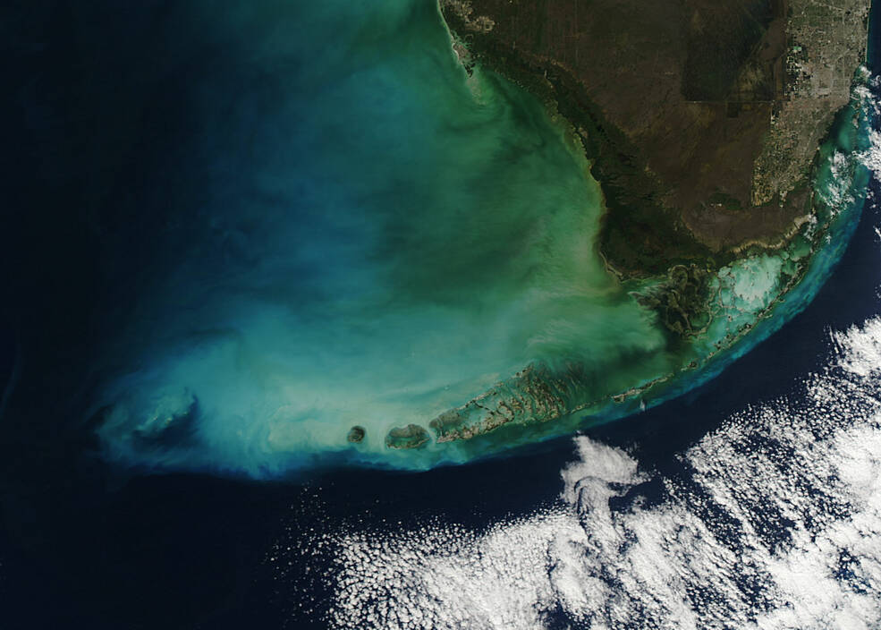 NASAs MODIS instrument captured this image of the southern tip of Florida curving into a blue-green ocean edged by white clouds.