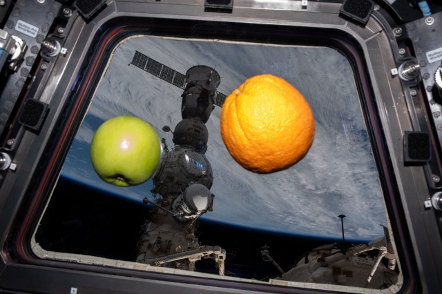 An apple and an orange are pictured floating weightlessly in the International Space Station's cupola. Seen outside the cupola, is the Soyuz MS-23 crew ship docked to the Prichal docking module which is attached to the Nauka science module.