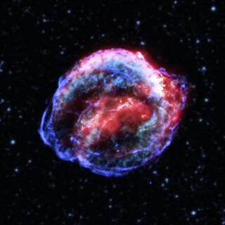 The Kepler supernova remnant is the remains of a white dwarf that exploded after undergoing a thermonuclear explosion.