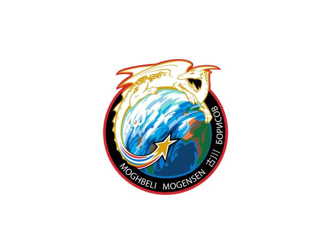 The mission patch for NASA's SpaceX Crew-7.