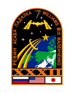 Expedition 32 Mission Insignia