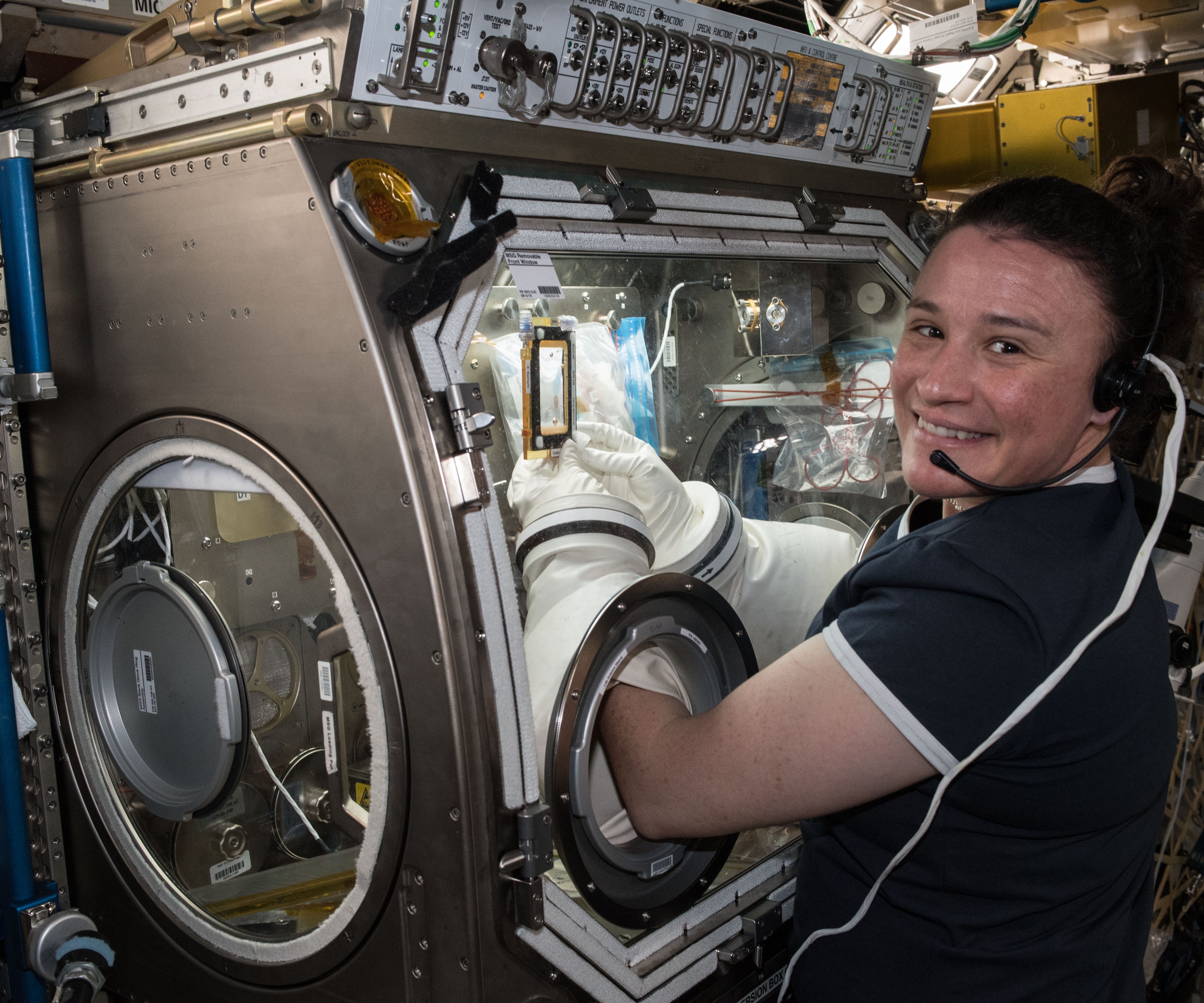 NASA astronaut Serena M. Auñón-Chancellor conducting the AngieX Cancer Therapy experiment in the Microgravity Sciences Glovebox.