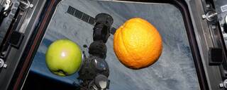 A green apple and an orange float on the ISS