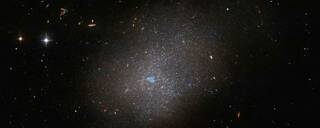 This galaxy, which lies 28.7 million light-years from Earth in the constellation Eridanus, is a ghostly assemblage of stars which resembles a sparkling cloud.