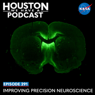 Houston We Have A Podcast Episode 291: Improving Precision Neuroscience. A preflight vector image of AAV gene therapy that selectively targets neurons to induce axon regeneration.