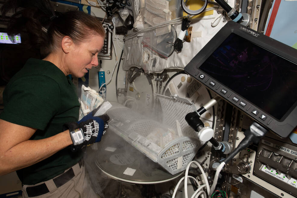 NASA astronaut and Expedition 64 Flight Engineer Shannon Walker inspects a science freezer that preserves biological samples for later analysis on Earth and on the International Space Station.
