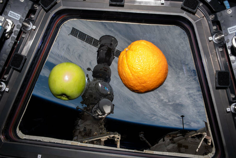 A green apple and an orange are pictured floating in the International Space Station's cupola.