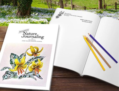 An open book with colored pencils on top of it sits on a picnic table next to a closed book with a cover that says, “Nature Journaling” with a hand painted image of three yellow flowers. The table is facing a field of spring flowers with a few trees and a wooden fence.