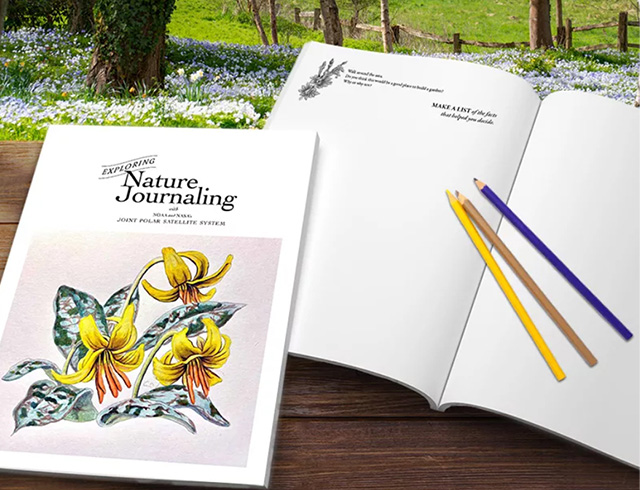 An open book with colored pencils on top of it sits on a picnic table next to a closed book with a cover that says, “Nature Journaling” with a hand painted image of three yellow flowers. The table is facing a field of spring flowers with a few trees and a wooden fence.
