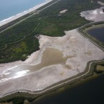 ksc-turtle-rescued-lagoon