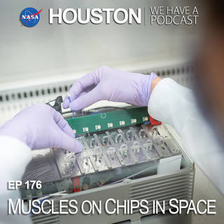 Muscles on Chips in Space