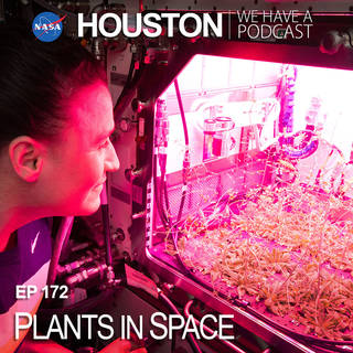 Plants in Space