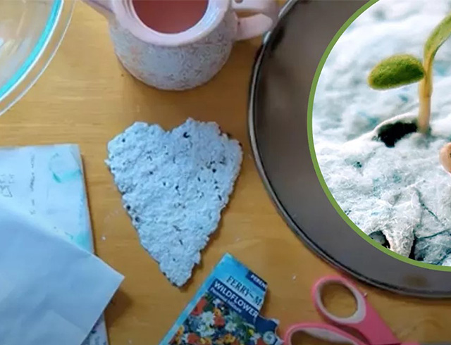 A heart shaped piece of homemade recycled paper is shown on a wooden desk surrounded by a ripped seed packet, mesh screen, and scissors