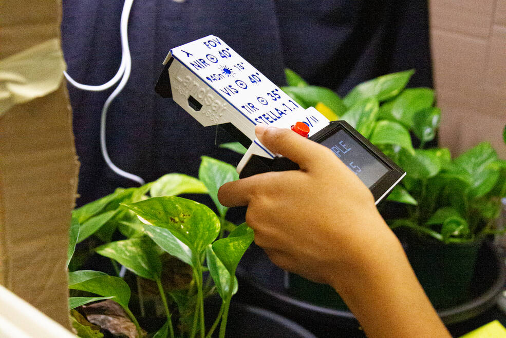 A white device that looks like a TV remote with a big, red button is held a few inches above two green, potted plants in a cardboard frame.