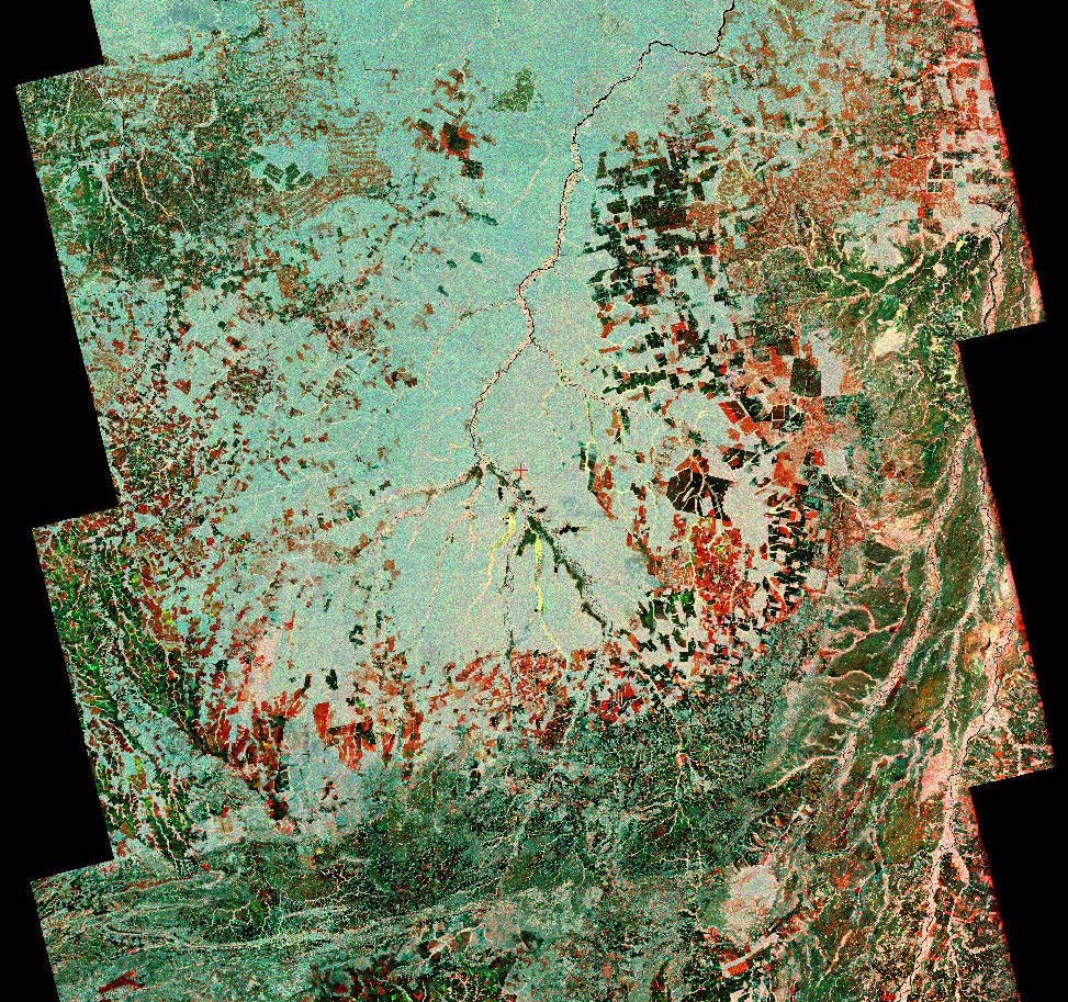 Composite that uses data from two Japanese L-band SAR missions