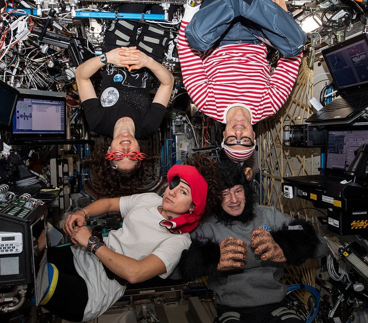 Membri della Spedizione 61, l'astronauta della NASA Christina H. Koch, in alto a sinistra, l'astronauta dell'ESA Luca S.  Parmitano, l'astronauta della NASA Andrew R. 