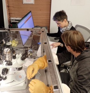 CHAPEA Mission 1 Flight Engineer Ross Brockwell is photographed with Science Officer Anca Selariu while completing some geology work using the glovebox inside the habitat. Credits: NASA