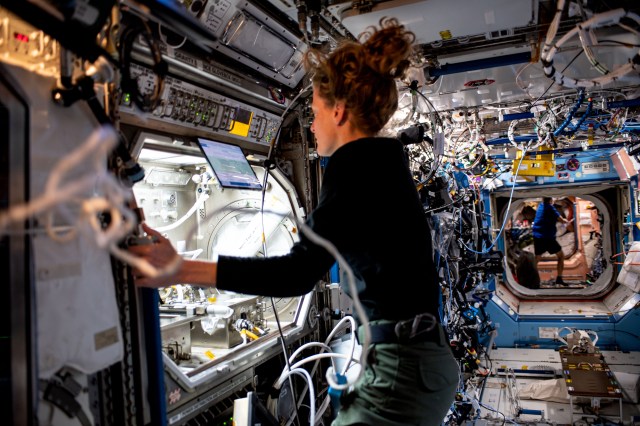 iss070e00391 (Sept. 28, 2023) --- NASA astronaut and Expedition 70 Flight Engineer Loral O'Hara removes space physics research hardware from inside the Destiny laboratory module's Microgravity Science Glovebox aboard the International Space Station.