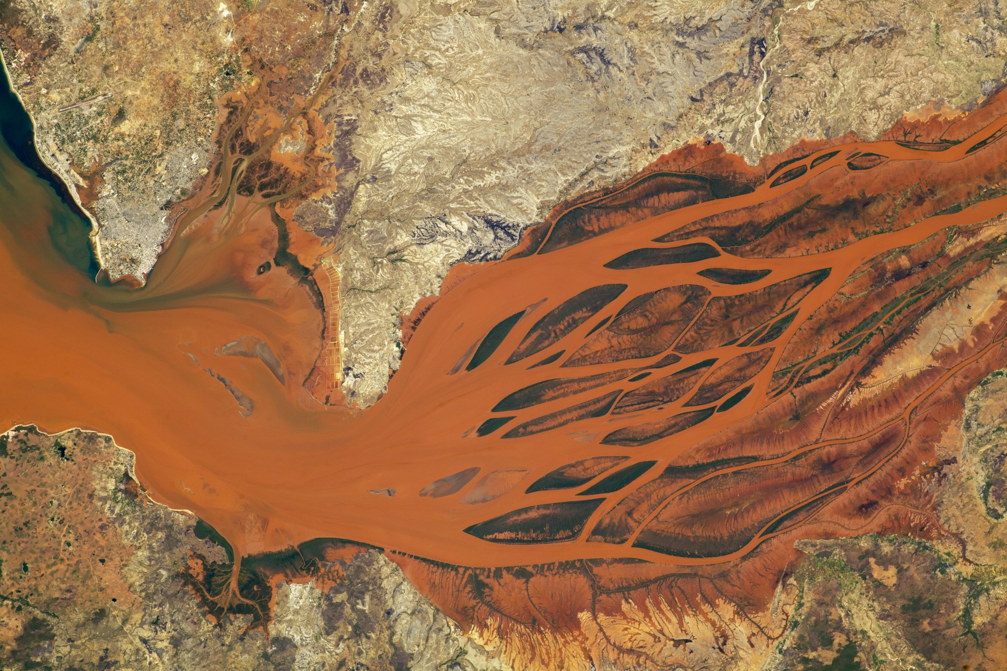 The waters of the Betsiboka River Delta, as seen from the International Space Station, are a vibrant orange. From left to right, the river branches off into many pathways, looking almost like the roots of a tree.