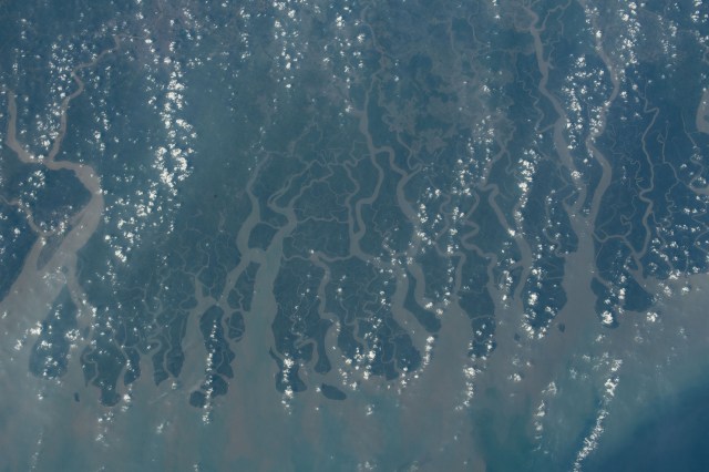 India and Bangladesh border along the Sundarban National Park, a tiger reserve and mangrove forest, in this photograph from the International Space Station as it orbited 257 miles above the Bay of Bengal.