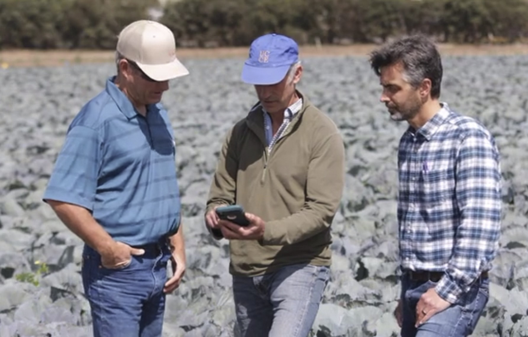 OpenET Program Manager Forrest Melton stands in field with two farmers, checking satellite data on a handheld device.