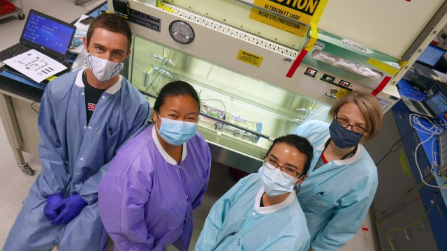 group of 4 people in lab coats, masks, and gloves