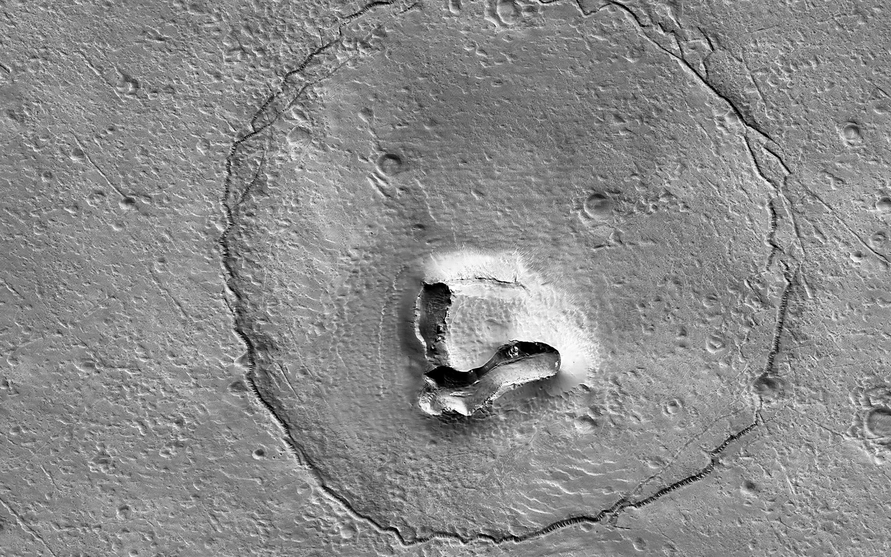 A geographical feature on Mars looks like the face of a bear in this black and white image acquired by NASA's Mars Reconnaissance Orbiter.