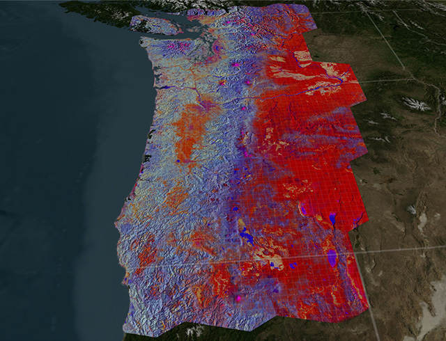 A new method of mapping satellite data reveals the hidden stories of forests in the Pacific Northwest.