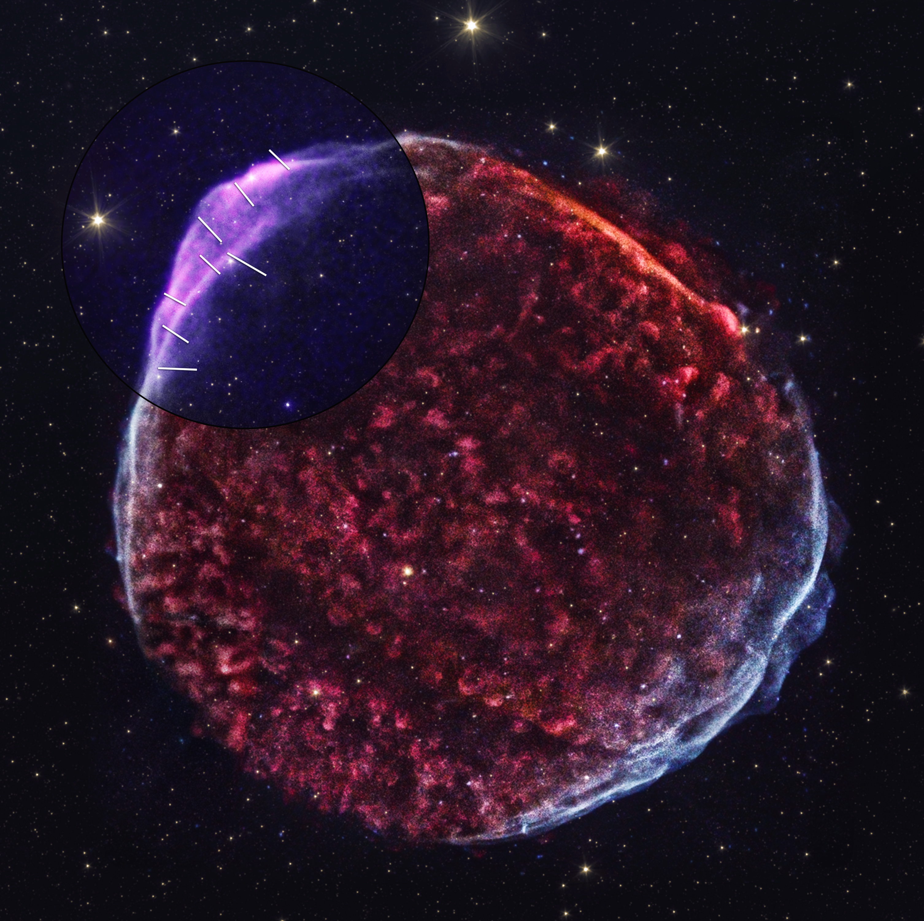 IXPE Untangles Theories Surrounding Historic Supernova Remnant – NASA