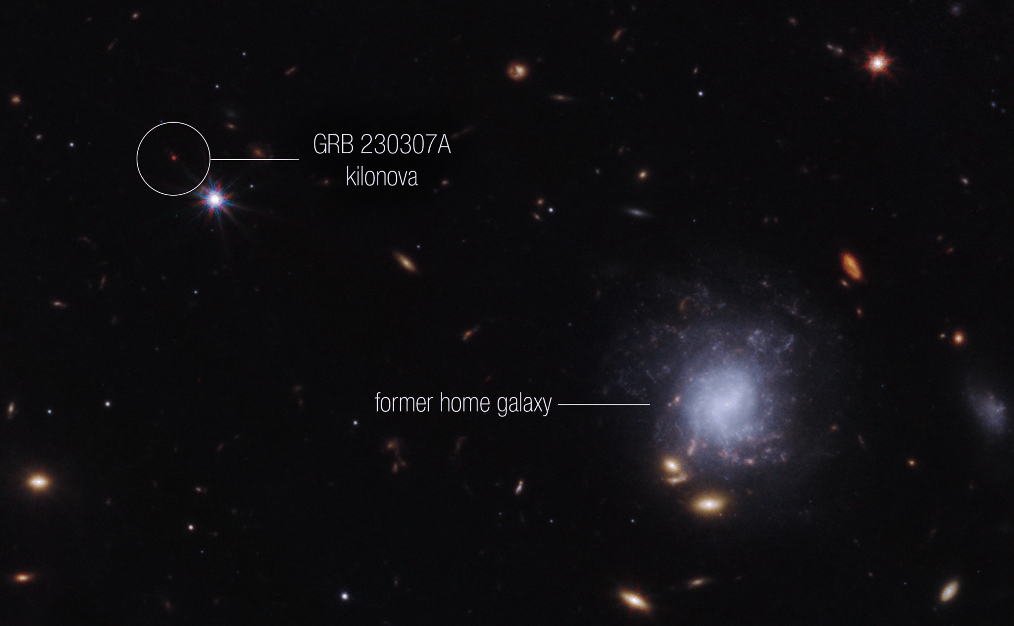 Bright galaxies and other light sources in various sizes and shapes are scattered across a black swath of space: small points, hazy elliptical-like smudges with halos, and spiral-shaped blobs. The objects vary in color: white, blue-white, yellow-white, and orange-red. Toward the center right is a blue-white spiral galaxy seen face-on that is larger than the other light sources in the image. The galaxy is labeled “former home galaxy.” Toward the upper left is a small red point, which has a white circle around it and is labeled “GRB 230307A kilonova.”