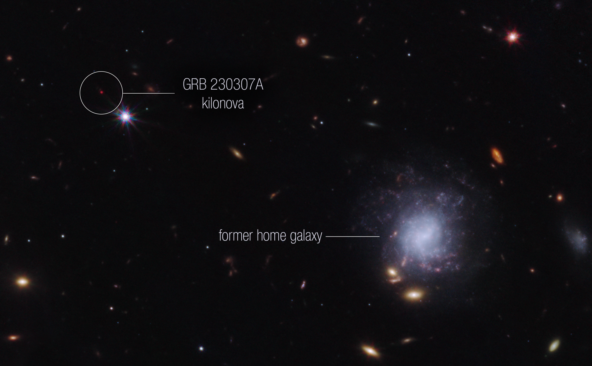 Bright galaxies and other light sources in various sizes and shapes are scattered across a black swath of space: small points, hazy elliptical-like smudges with halos, and spiral-shaped blobs. The objects vary in color: white, blue-white, yellow-white, and orange-red. Toward the center right is a blue-white spiral galaxy seen face-on that is larger than the other light sources in the image. The galaxy is labeled “former home galaxy.” Toward the upper left is a small red point, which has a white circle around it and is labeled “GRB 230307A kilonova.”