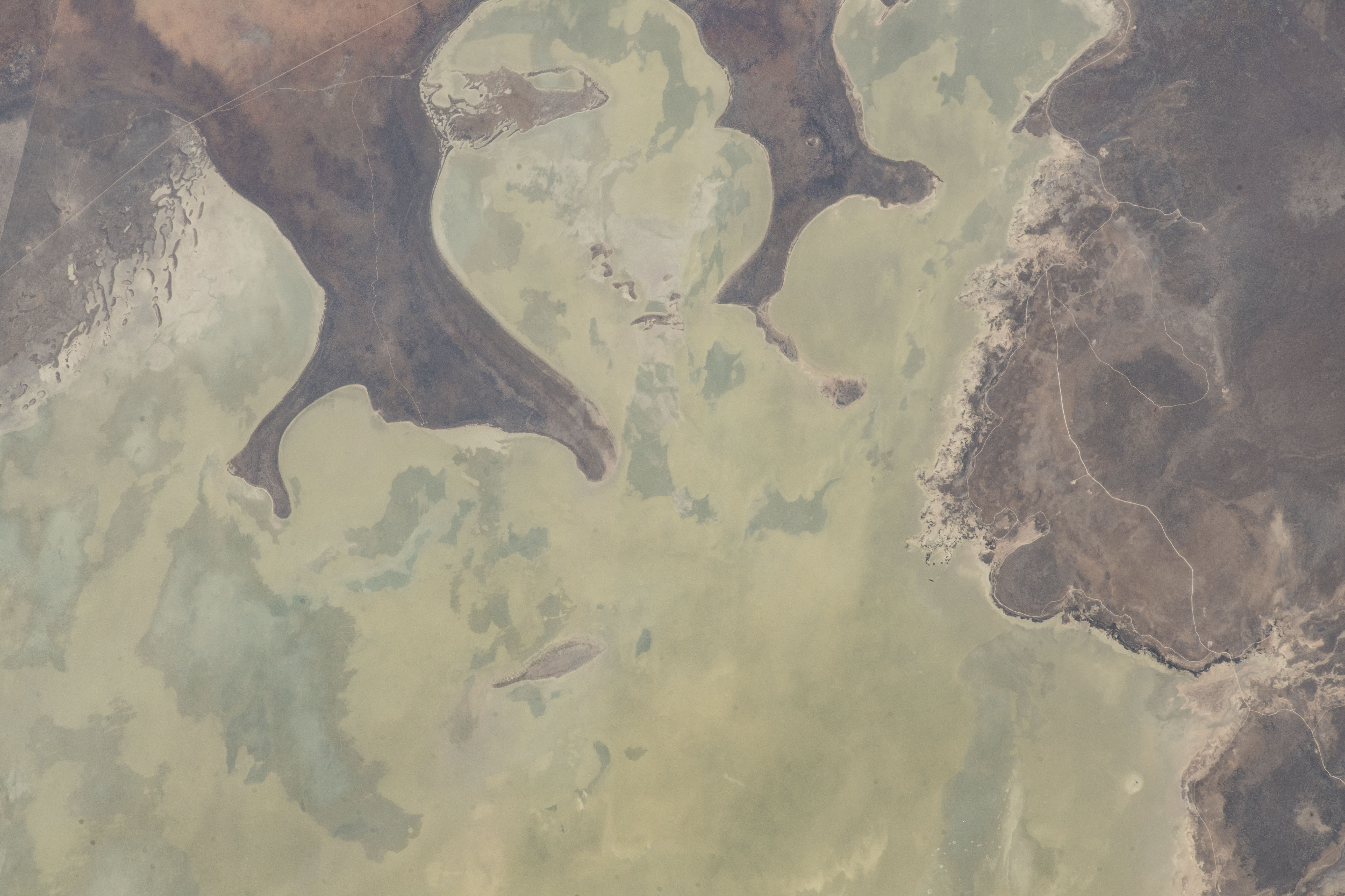 iss070e015611 (Nov. 2, 2023) -- Etosha National Park is a mix of desert and savannahs in northwestern Namibia. The Etosha Pan, pictured here, dominates the park. Originally a lake but dried over time, it is the largest salt pan in Africa and a prominent visual marker as the International Space Station soars 260 miles above.