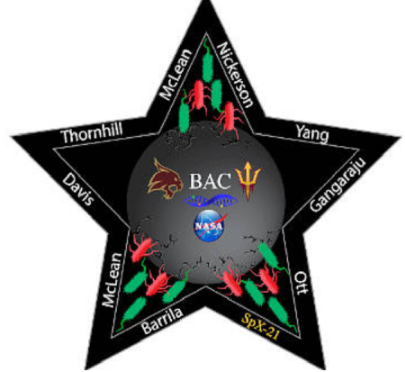 Bacterial Adhesion and Corrosion Mission Patch