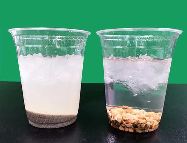 Two clear plastic cups, one filled with ice water with sand on the bottom, and one filled with ice water with pebbles on the bottom