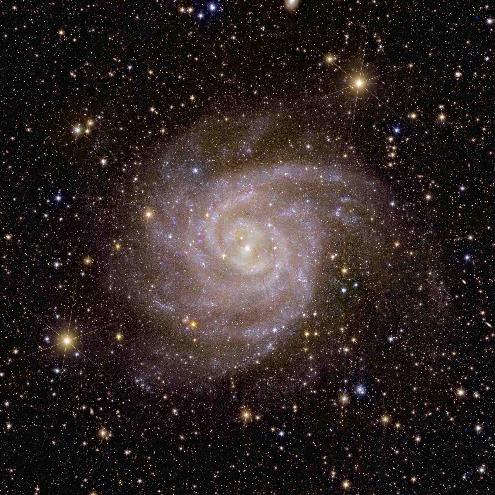 A big spiral galaxy is visible face-on in white/pink colours at the centre of this square astronomical image. The galaxy covers almost the entire image and appears whiter at its centre where more stars are located. Its spiral arms stretch out across the image and appear fainter at the edges. The entire image is speckled with stars ranging in colour from blue to white to yellow/red, across a black background of space. Blue stars are younger and red stars are older. A few of the stars are a bit larger than the rest, with six diffraction spikes.