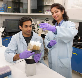 Curran Reddy and Sharmila Bhattacharya with fruit fly lab hardware