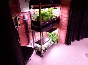 The crop growth station inside the CHAPEA habitat.
