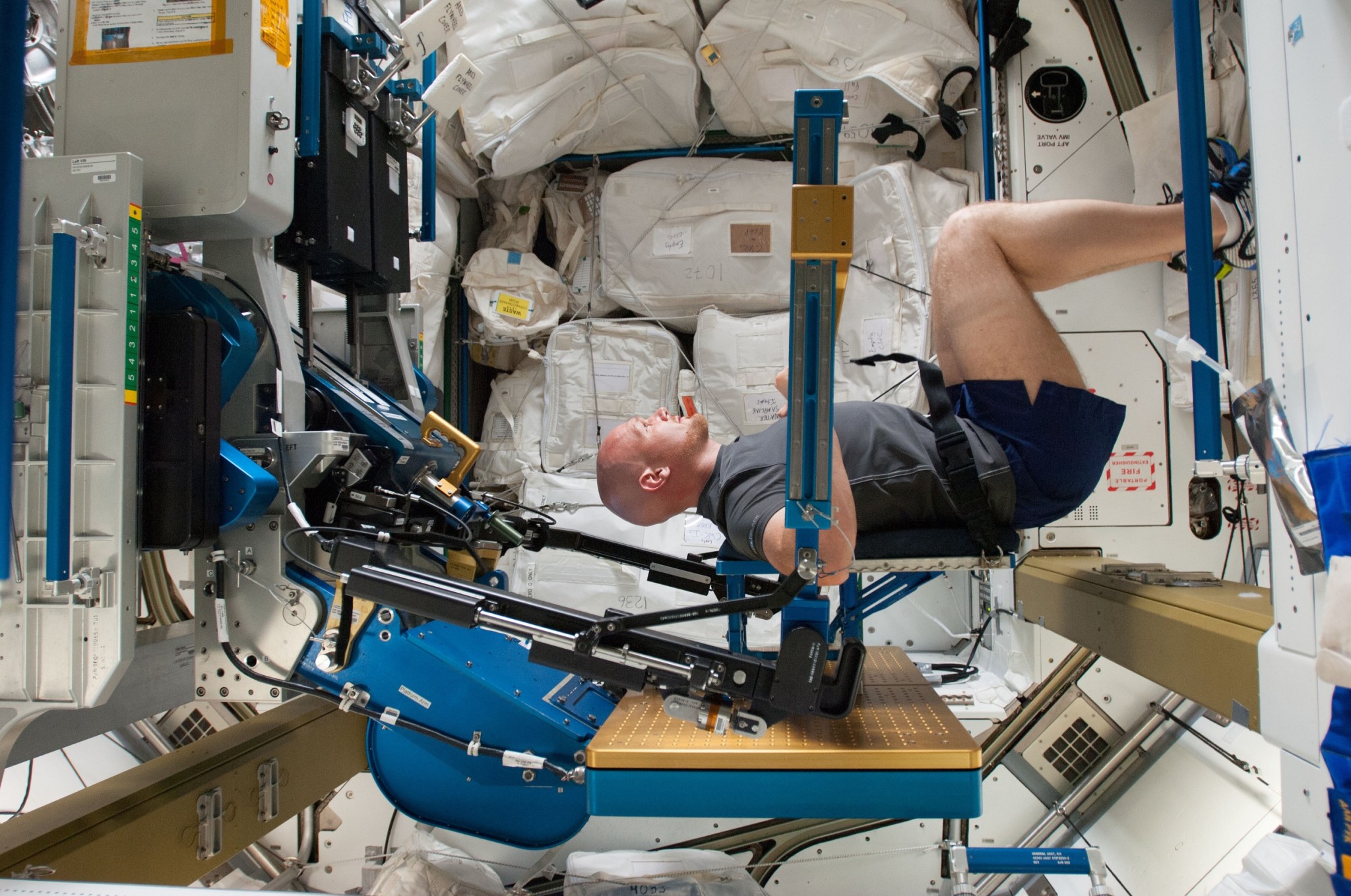 ESA astronaut Alexander Gerst in a squat position while working out on the ARED, with his arms against a beam. His body is facing to the right and his head turned to smile at the camera.