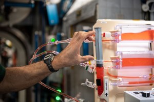 The Plant Water Management 3 and 4 system is photographed aboard the International Space Station during fluid prep and system priming. Near the bottom of the pump is a label reading "upstream," with an arrow pointed upwards. This hydroponic method allows liquid to be injected upstream, pushing it to the base of the channel and into the chamber. Credits: NASA