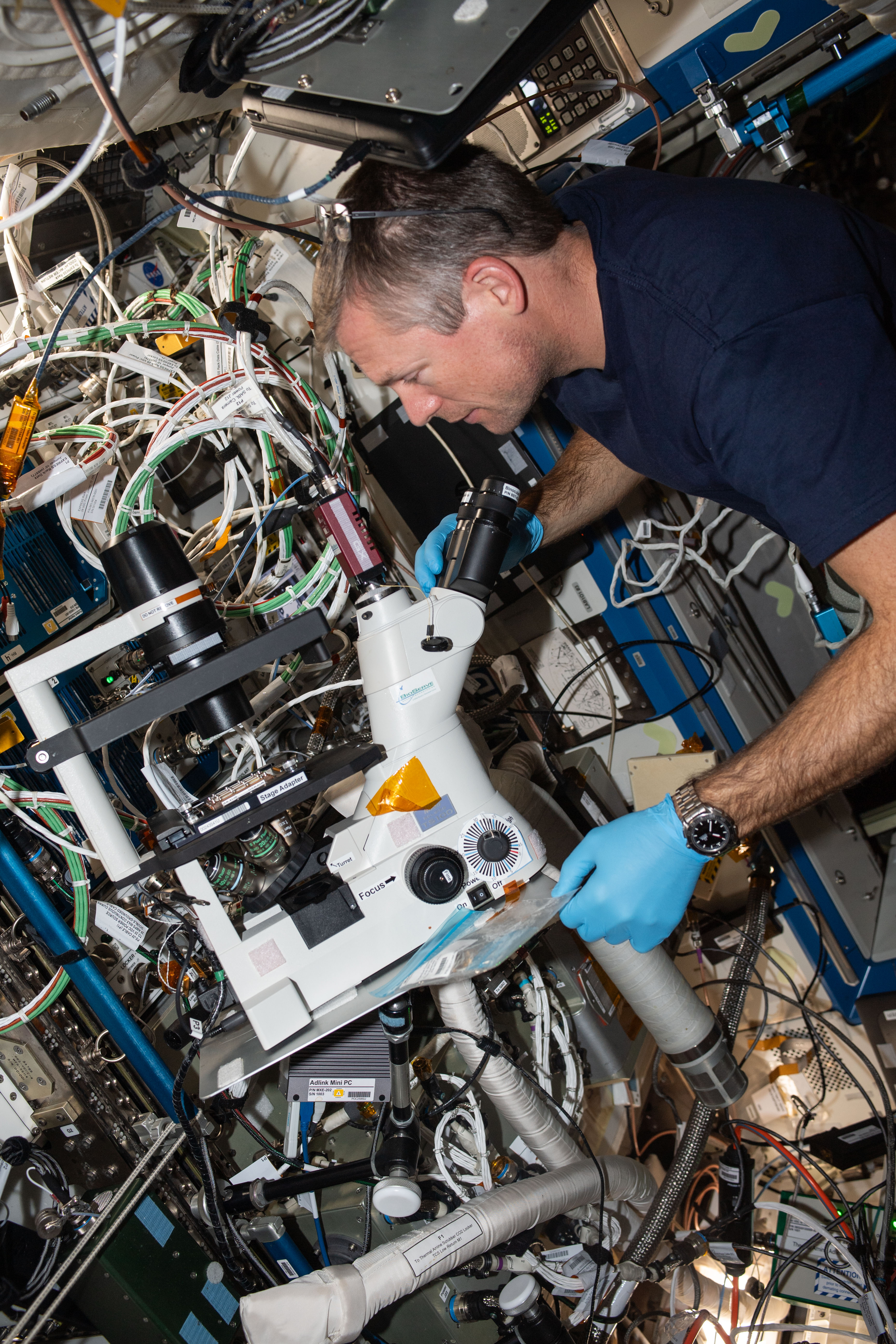 ESA (European Space Agency) astronaut and Expedition 70 Commander Andreas Mogensen operates a microscope inside the International Space Station's Destiny laboratory module. He was capturing imagery of brain cell-like samples for the Cerebral Ageing space biology study that is exploring the degenerative processes of brain cells. Results may provide insights into accelerated ageing symptoms seen in space and neurodegenerative diseases experienced on Earth.
