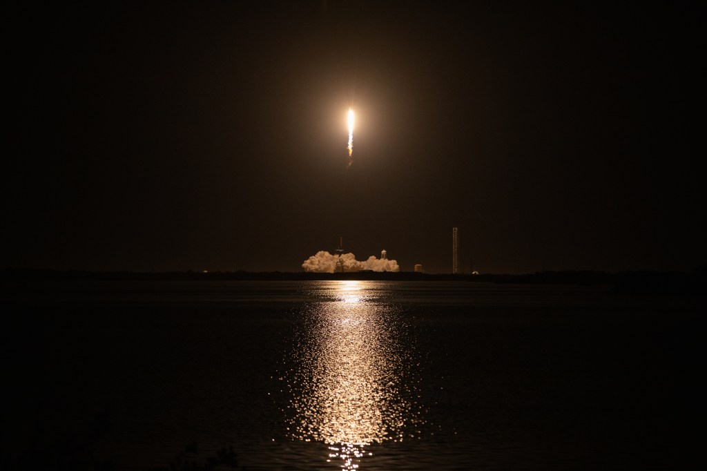 Dragon Lights Up the Night