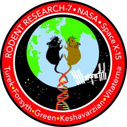 Rodent Research-7 mission patch