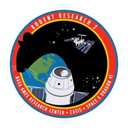 rodent research-2 mission patch