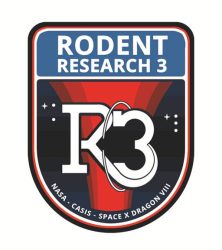 rodent research-3 mission patch